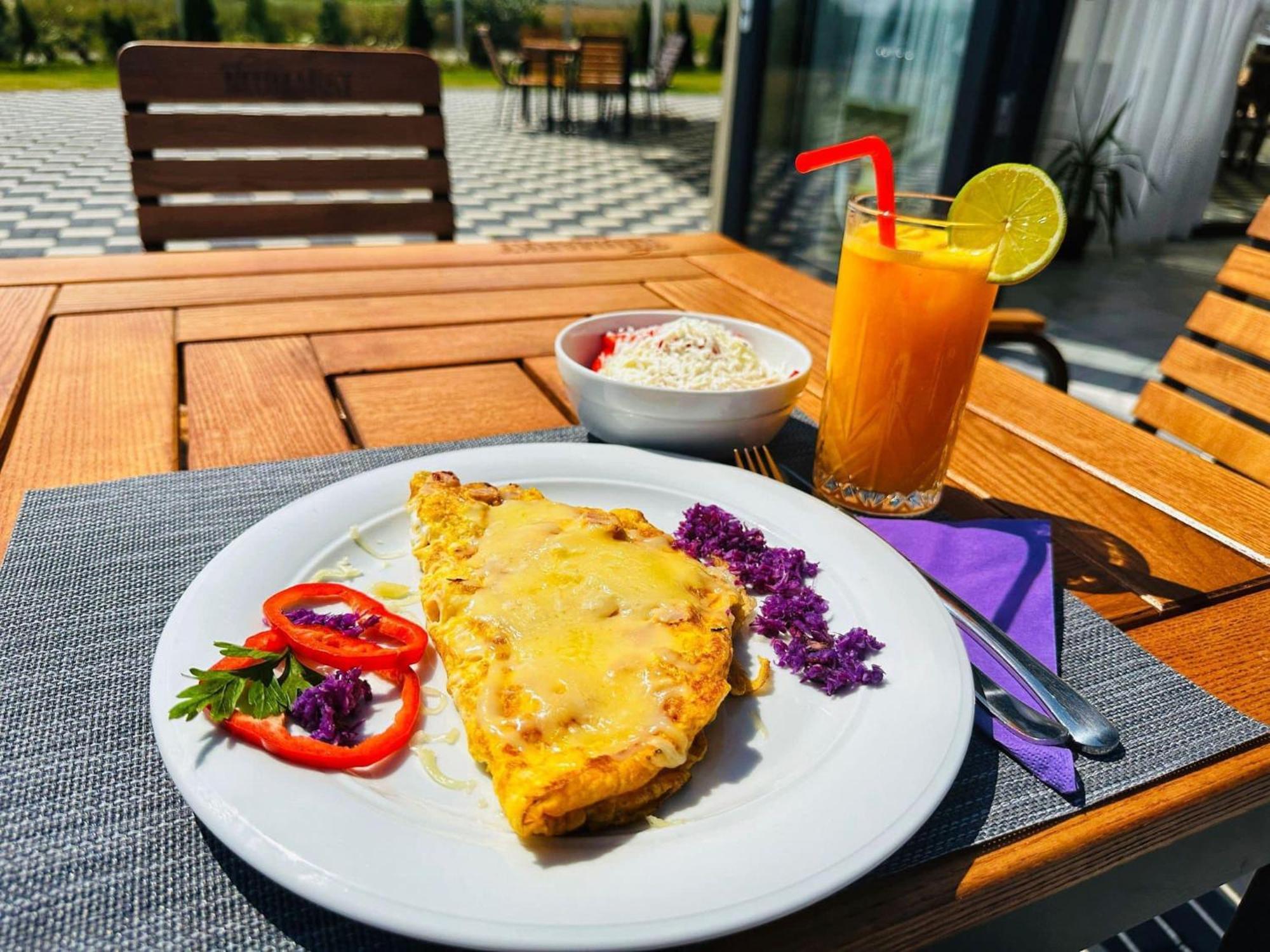 Hotel Pensiunea Alex Si Toni Sebeş Zewnętrze zdjęcie